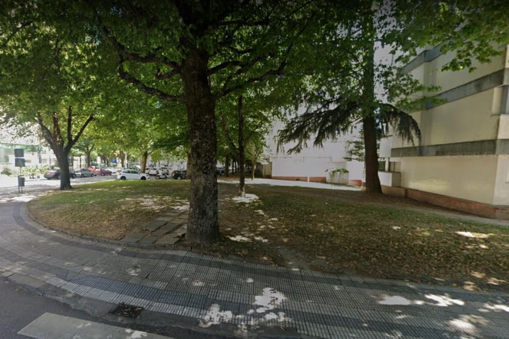 Queda de árvore mata em Braga e família de vítima exige 80 mil euros à Câmara