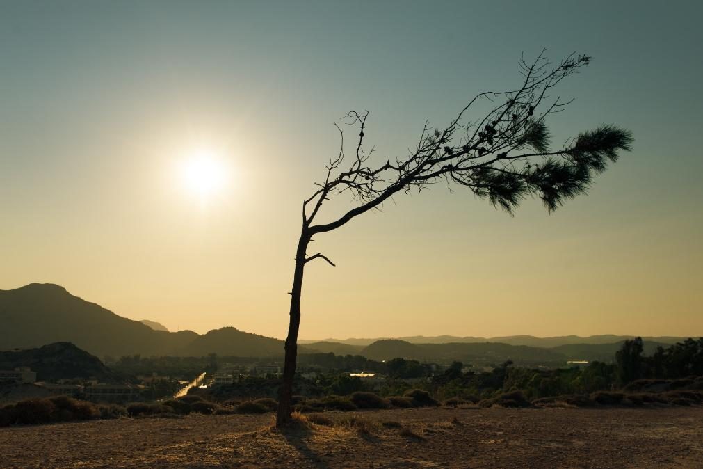 Meteorologia prevê descida das temperaturas para esta segunda-feira