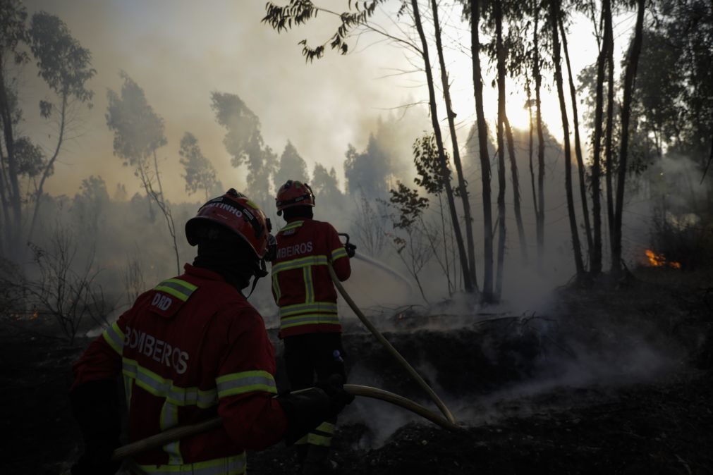 Incêndios: 7.253 incêndios e 26.838 hectares ardidos nos primeiros nove meses do ano