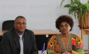 Cabo Verde deteta dois focos da praga dos mil pés em Santiago e reforça prevenção