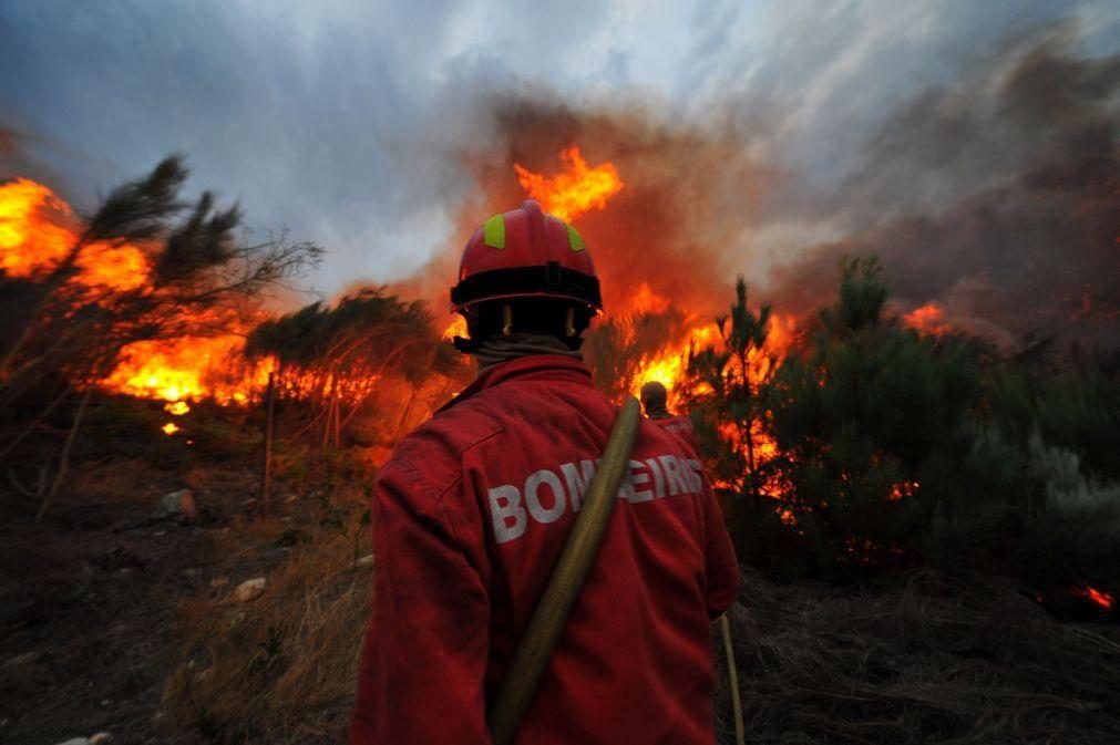 Mais de 130 operacionais e cinco aeronaves combatem incêndio em Sintra