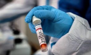 Covid-19: Angola com 355 novas infeções e cinco óbitos nas últimas 24 horas