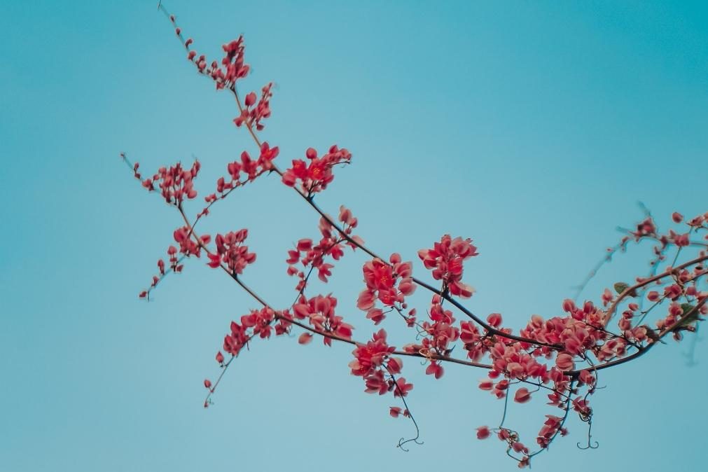 Meteorologia prevê segunda-feira de céu limpo durante a tarde