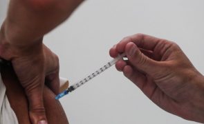 Covid-19: Portugal vai receber 6,1 milhões de vacinas até final do ano -- Gouveia e Melo