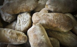 Governo moçambicano e panificadores assinam memorando para evitar subida de preço do pão