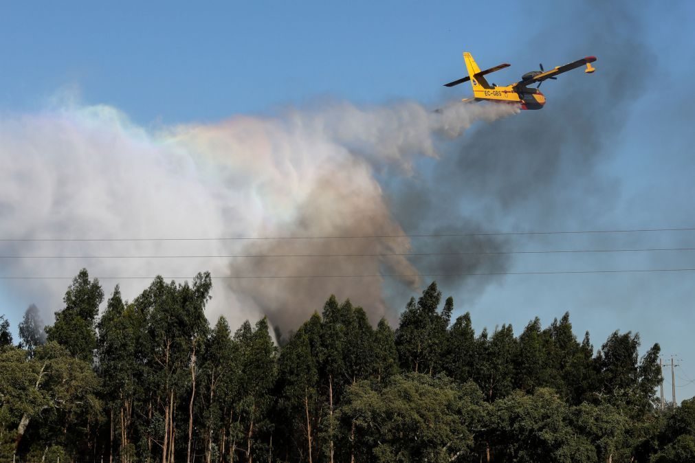 Incêndio: Fogo na Sertã vai mobilizar nove meios aéreos