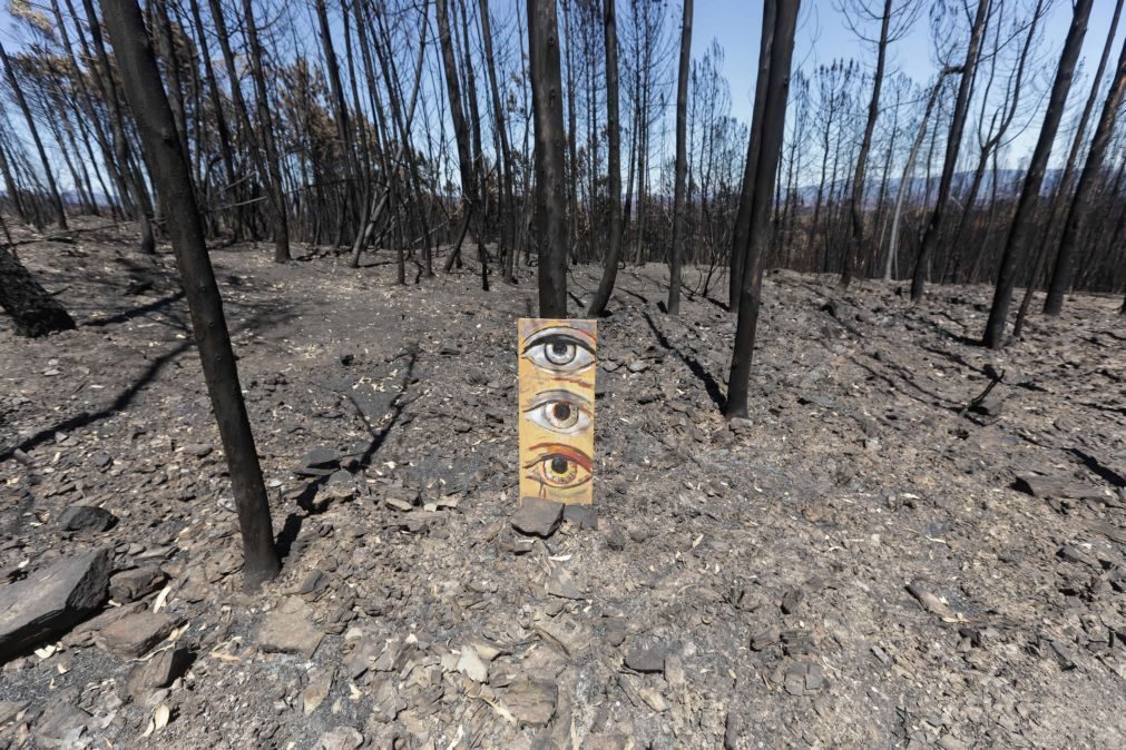 Incêndios: Proteção Civil desconhece outras vítimas fora da lista das 64