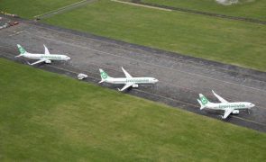 Transavia alarga voos 'low cost' para Cabo Verde à ilha da Boa Vista