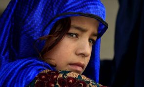 Refugiados afegãos começam a trabalhar e as crianças estão na escola - Governo