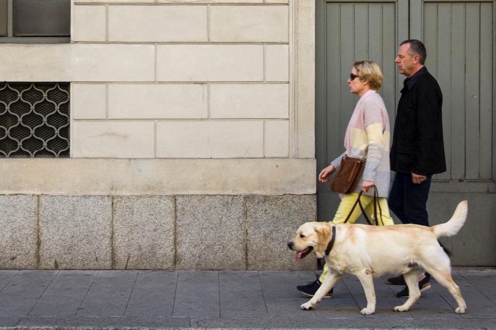 Cão sem trela em lugares públicos pode dar multa de 3.740 euros
