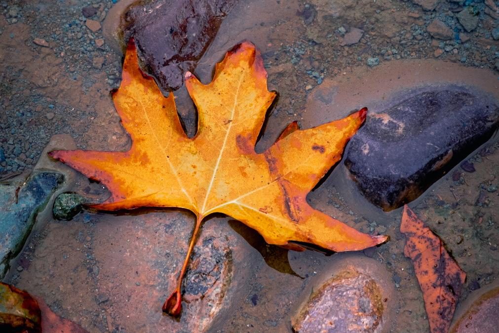 Meteorologia: Previsão do tempo para quinta-feira, 21 de outubro