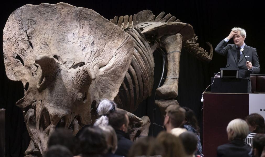Esqueleto de dinossauro