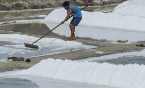Produtores temem regras iguais para certificação biológica de sal tradicional e industrial