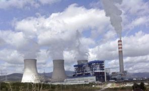 OCDE coloca fim aos créditos de exportação às centrais termoelétricas a carvão