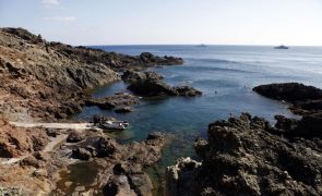 Madeira celebra 50 anos da reserva natural das ilhas Selvagens e quer torná-las referência mundial