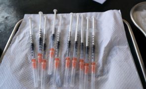 Covid-19: África será das regiões mais afetadas pela escassez de seringas - OMS