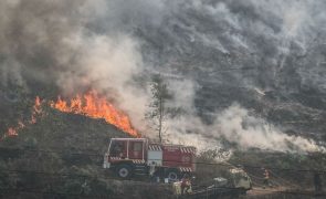 Portugal foi o segundo país da UE mais afetado por fogos florestais em 2020