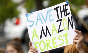 Brasil vai assinar acordo sobre florestas na cimeira do clima COP26