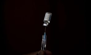 Covid-19: São Tomé e Príncipe recebe 79.200 vacinas da farmacêutica Janssen financiadas pelo BM