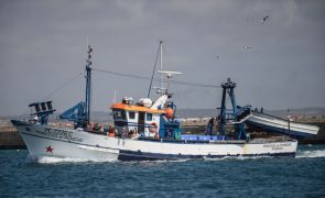 Bruxelas propõe cortes nas capturas de pescada, carapau e linguado em 2022