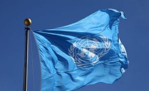 COP26: ONU lança novo modelo financeiro que pode poupar 11 mil milhões até 2026