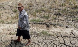 COP26: Alemanha doa 18 milhões para seguros sobre clima em África