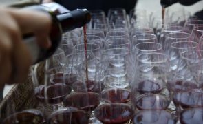 IVDP organiza provas comentadas de vinho do Porto 'online' em 11 países