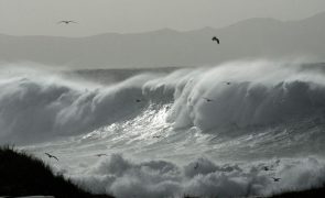 Capitania alerta para ondas de sete metros em Santa Cruz das Flores no sábado