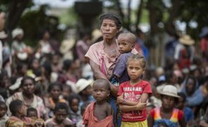 Mais de 1,1 milhões de pessoas precisam de ajuda alimentar urgente em Madagáscar