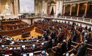 Parlamento recomenda ao Governo criação do Dia Nacional das Acessibilidades