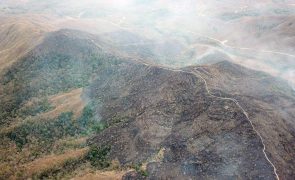 Desflorestação  da Amazónia brasileira bate recorde em outubro