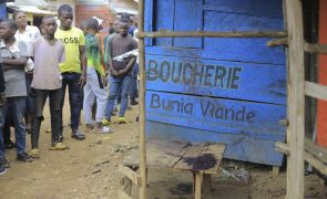 Novo ataque dos rebeldes ugandeses na RD Congo faz pelo menos 14 mortos