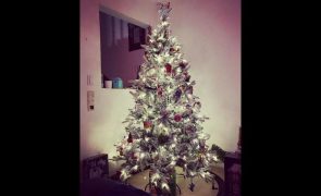 Nuno Markl inspira-se na Disney para decorar árvore de Natal [fotos]
