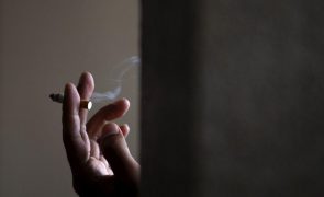 Mais de 22% da população mundial é fumadora, mas número está a baixar