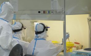 Covid-19: Projeto de vacina portuguesa parado desde julho à espera de fundos