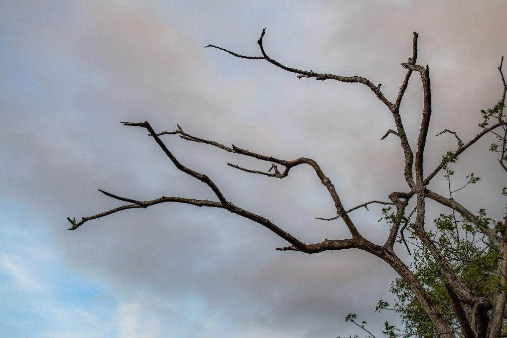 Meteorologia: Previsão do tempo para sábado, 20 de novembro