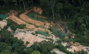 Brasil vincula aumento da desflorestação na Amazónia à pressão populacional
