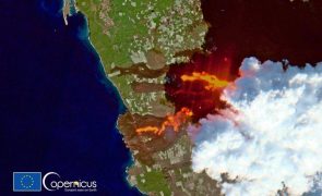 Erupção do Cumbre Vieja aumentou 43 hectares a extensão de Las Palmas