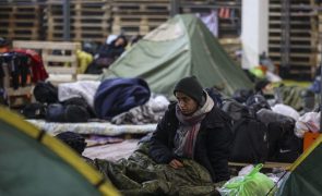 Alemanha rejeita apelo da Bielorrússia para acolher 2.000 migrantes