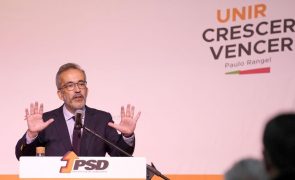 PSD: Moção de Rangel sugere começar regionalização com experiência-piloto no Algarve