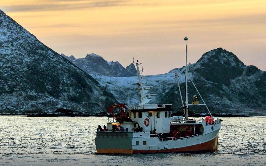 Por que é que o Bacalhau da Noruega tem um sabor único?