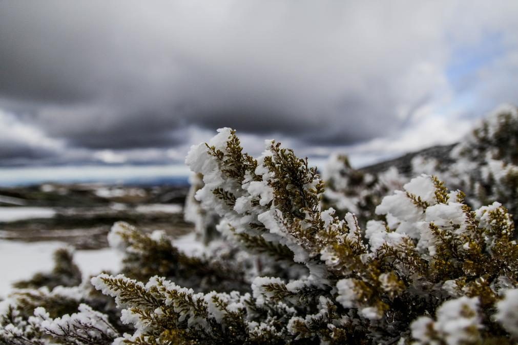 Meteorologia: Previsão do tempo para quarta-feira, 24 de novembro