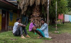Etiópia: ONU alerta para a necessidade de ajuda a 8,1 milhões de pessoas