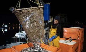 Bruxelas pede a Londres que resolva disputa de pescas com França até 10 de dezembro