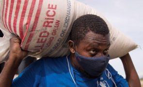 Etiópia: Mais de 9 milhões de pessoas necessitam de ajuda alimentar no norte do país - PAM