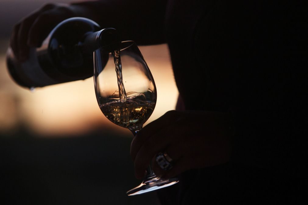 Governo abre aviso de 40 ME para apoio ao setor do vinho