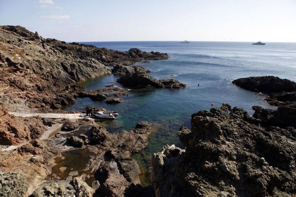 Governo Regional da Madeira cria maior área marinha da Europa com proteção total