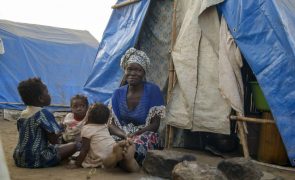 Moçambique/Ataques: Caravana jurídica leva 2.200 documentos de identificação para deslocados