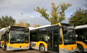 Bruxelas aprova apoio português de 48 ME para autocarros ecológicos em Lisboa e Porto