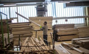 AIMMP espera que exportações de madeira e mobiliário batam máximo histórico de 2019